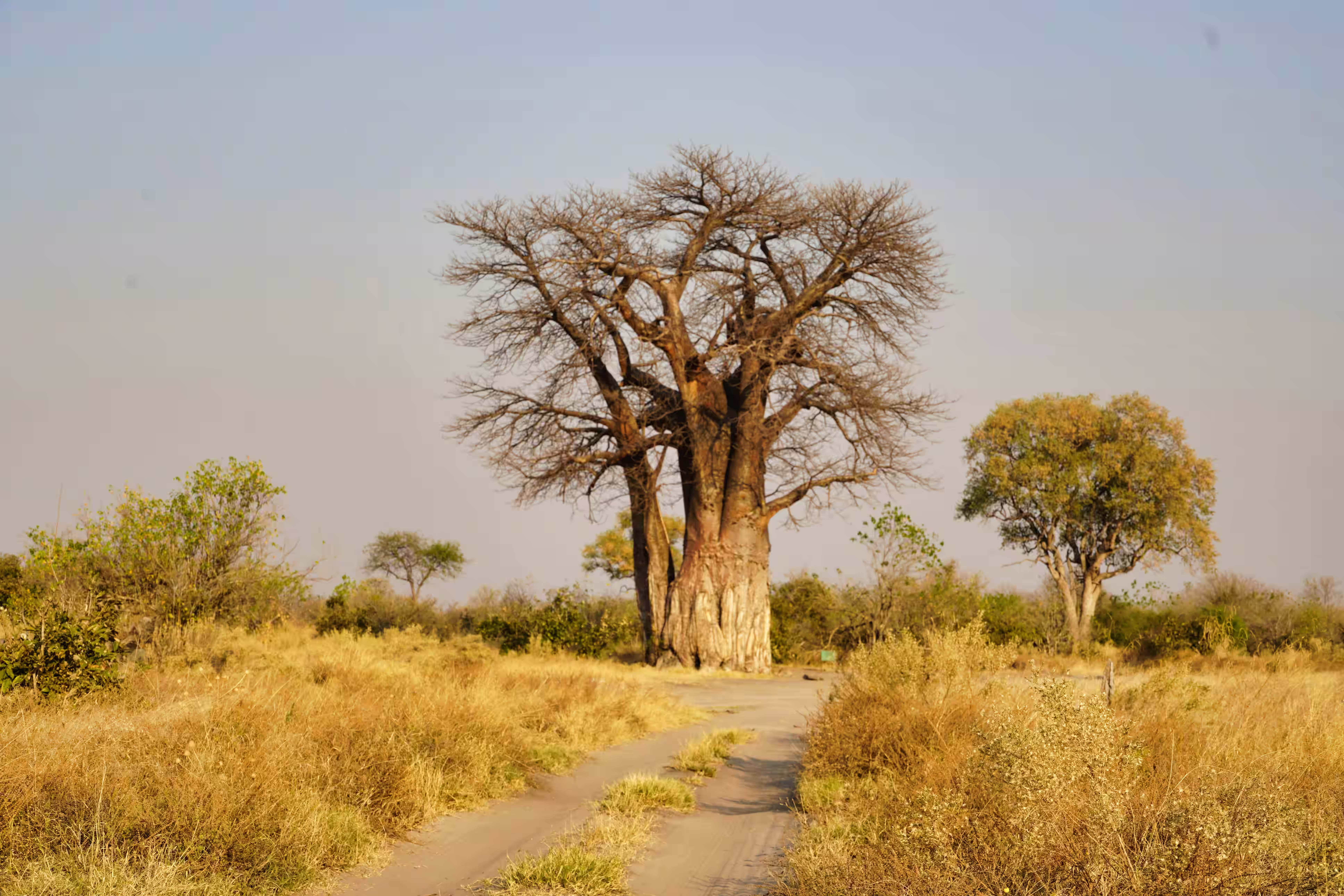 Environmental Sustainability programme — MIWA, Ghana